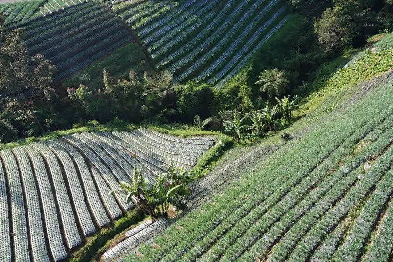 低压配电保护升级：漏电保护器与空气开关选型搭配指南